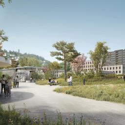 Visualisierung Parklandschaft