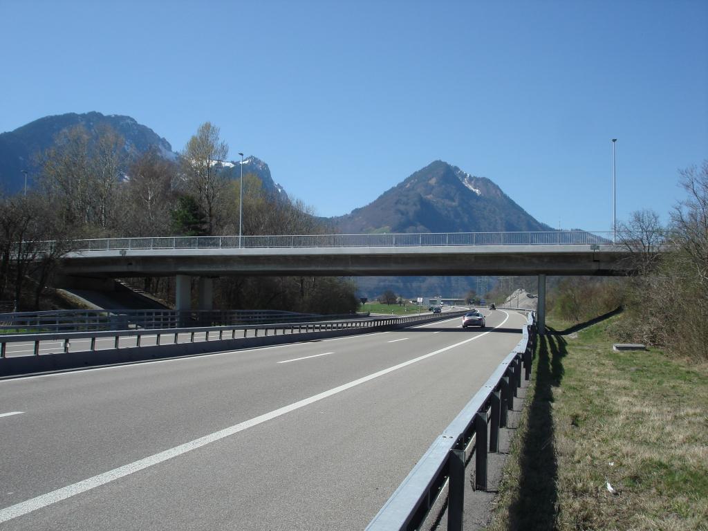 A3 Brücken Linthebene